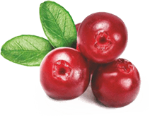 cherry